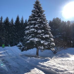 Meet your Posher, Jeaneth